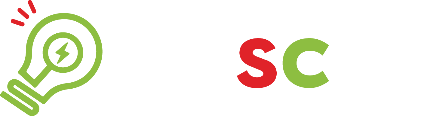 Programa Nascer