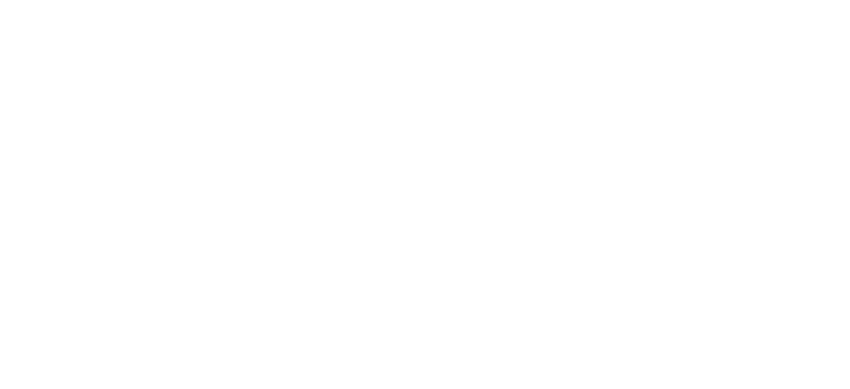 SEBRAE
